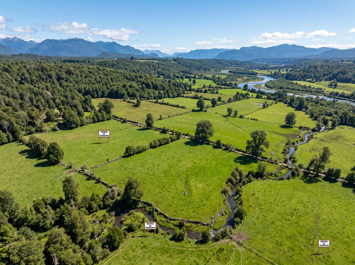 Paisaje Valle de Mañil